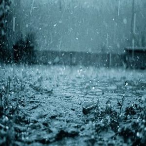 Meet your Posher, Tanesha